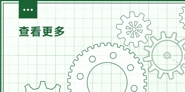 更多领域